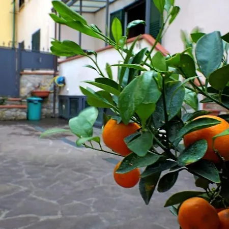 Casa Allegra Apartamento Florença