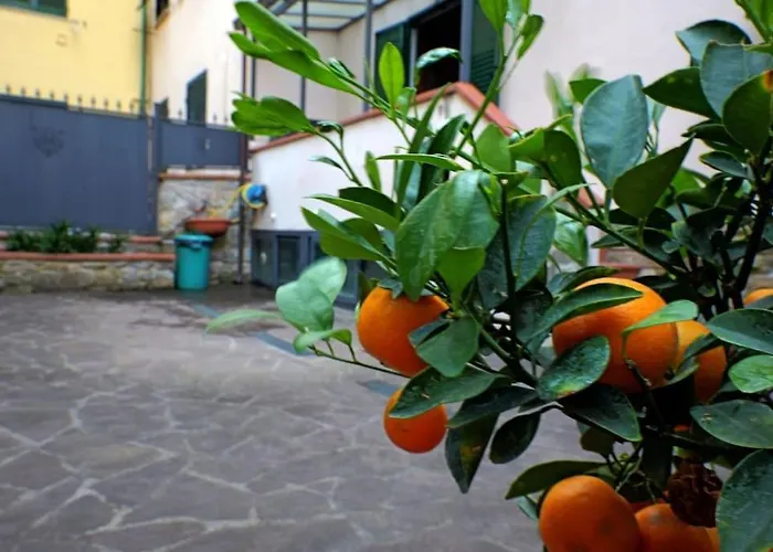 Casa Allegra Apartament Florencja